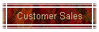 Customer Sales